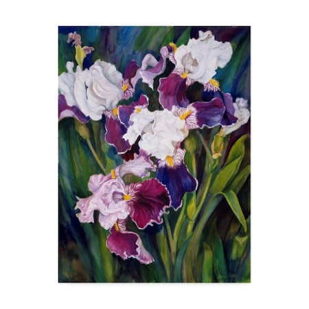 Trademark Fine Art Joanne Porter 'Wind Blown Iris' Canvas Art, 18x24 ALI30559-C1824GG